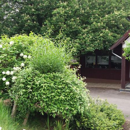 Forsthaus Alter Foerster Ξενοδοχείο Bad Oeynhausen Εξωτερικό φωτογραφία